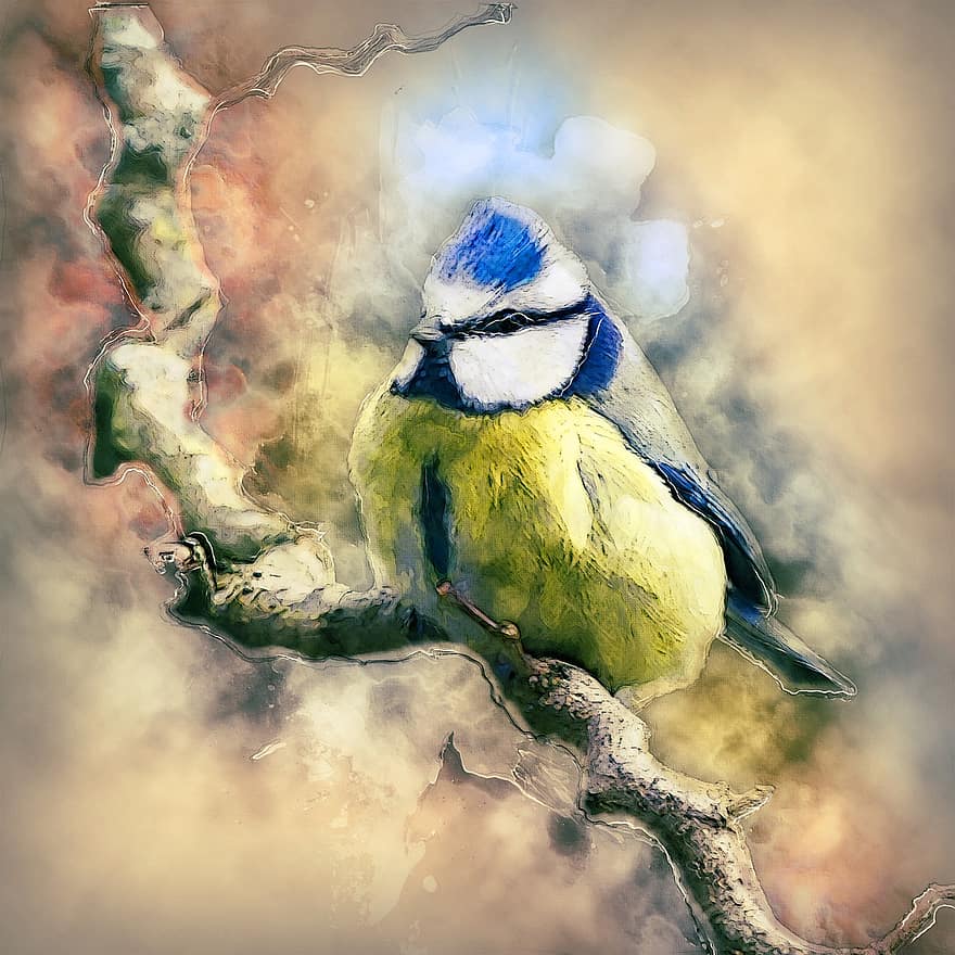oiseau, mésange bleue, la nature, faune, mésange, animal, en plein air, repos, à plumes, manipulation numérique