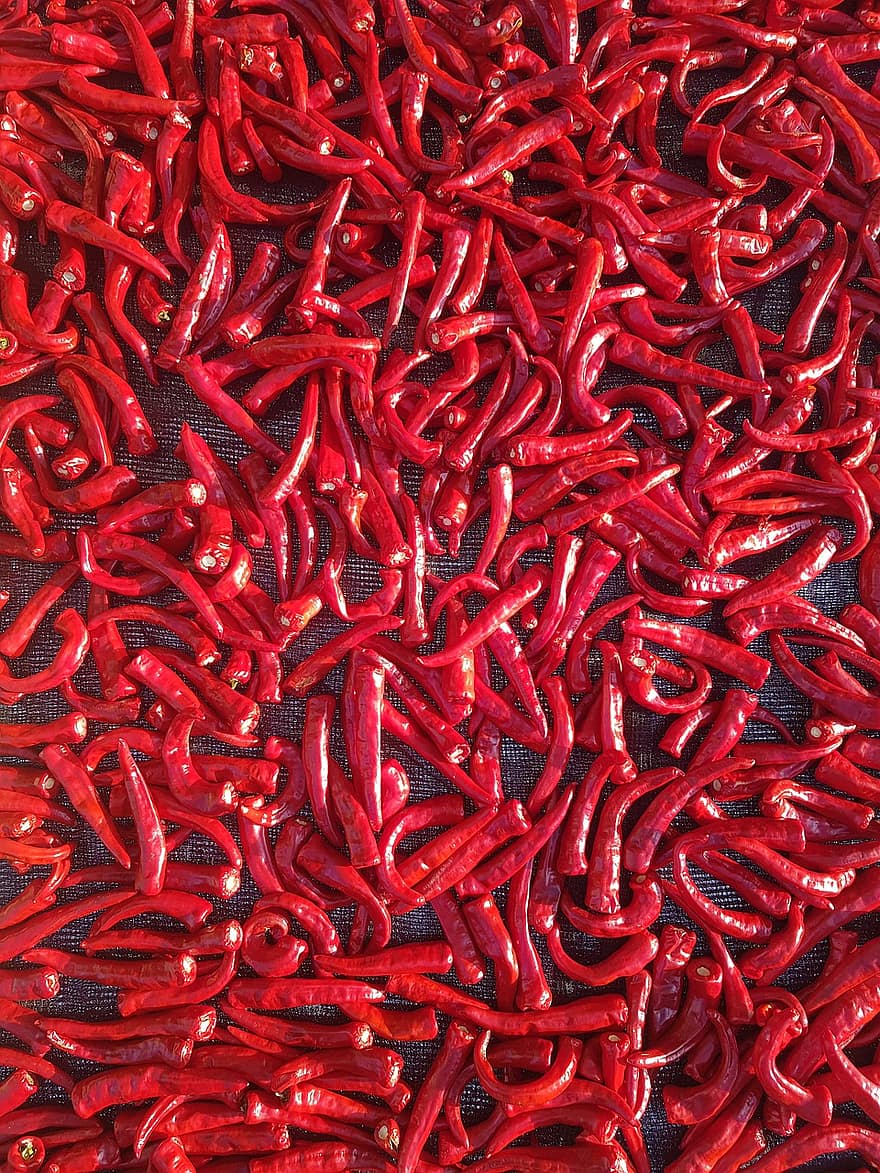 Pepper, Red, Chili, Organic, Harvest, Spicy, food, backgrounds, close-up, spice, chili pepper