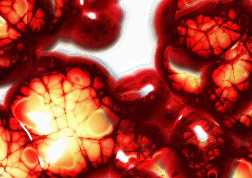 細胞、セル構造、生物、血液、血漿、赤血球、赤