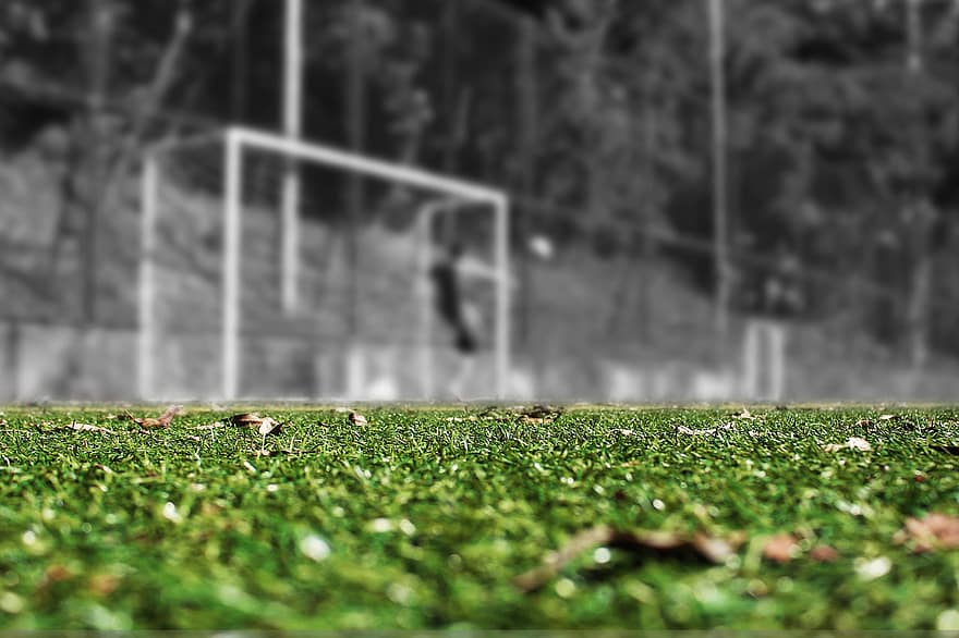 Het voetbalveld, voetbal, veld-, achtergrond, gras, spel, stadion, sport, groen, het doel, spelen