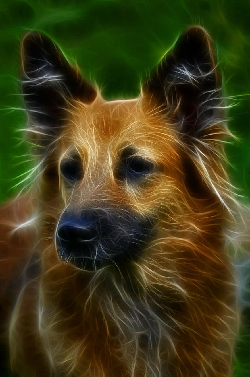 Dog, Digital Art, Fractal, Canine, Animal, Graphic, Abstract, Style, Head, Nature, Effect
