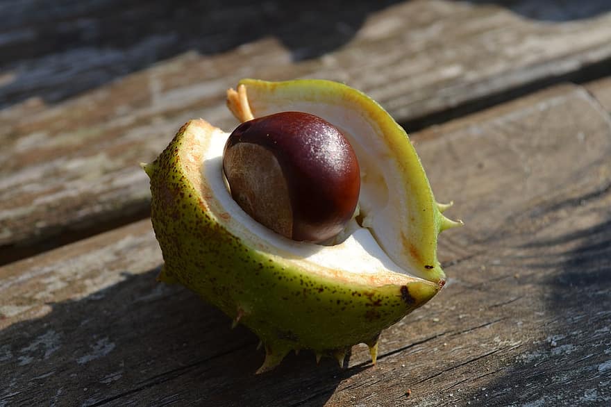 Chestnut, Organic, Nut, Healthy, fruit, close-up, freshness, food, wood, healthy eating, leaf