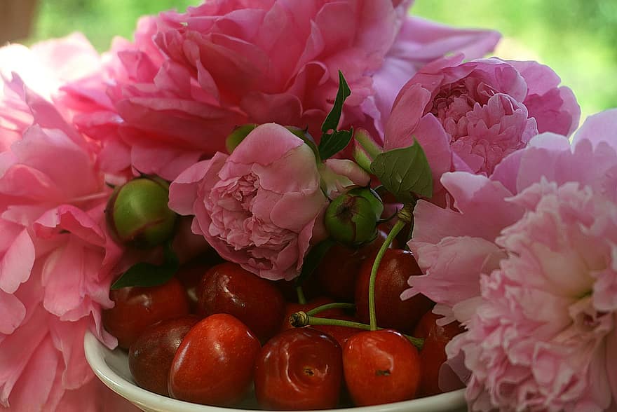Körsbär Moget, röd, Pioner Rosa, dekoration, på tallriken, frukt, mat, färsk, sommar, diet, vitaminer