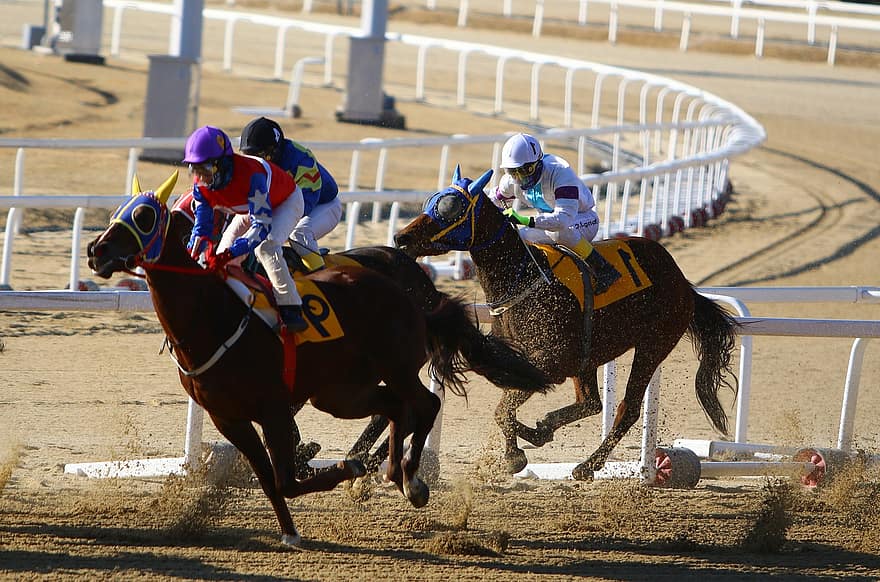 tävlings, hästkapplöpning, ryttare, häst-, lopp, hästrace, racerbanan, konkurrens