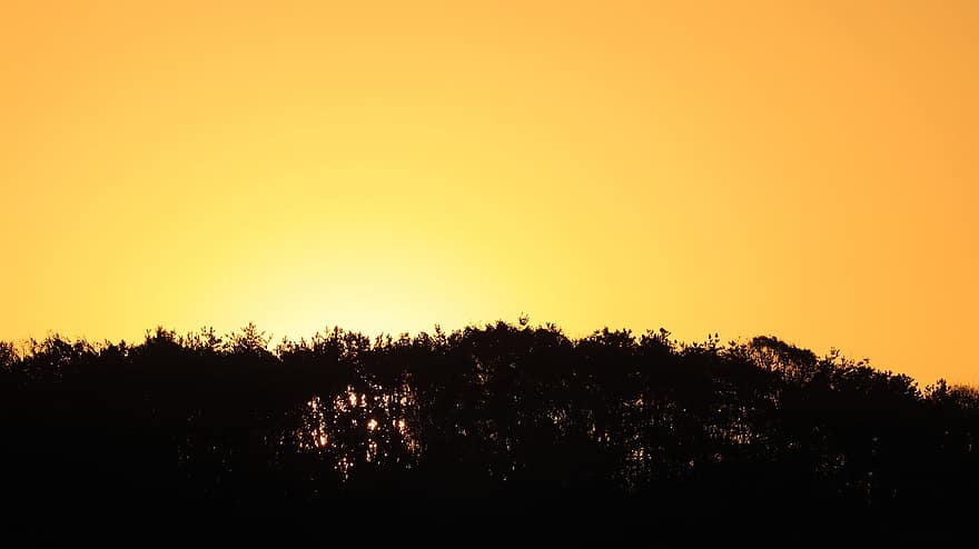 Sunrise, Yellow, Nature, Landscape, Sunshine, Orange, Sky, Summer, Blue