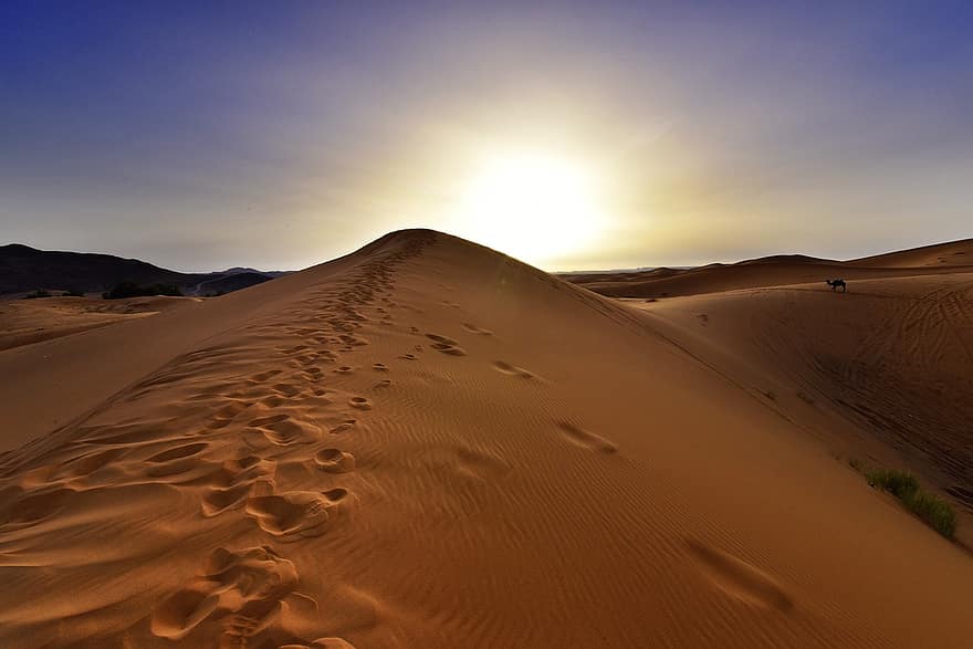 soluppgång, öken-, marockansk, sand