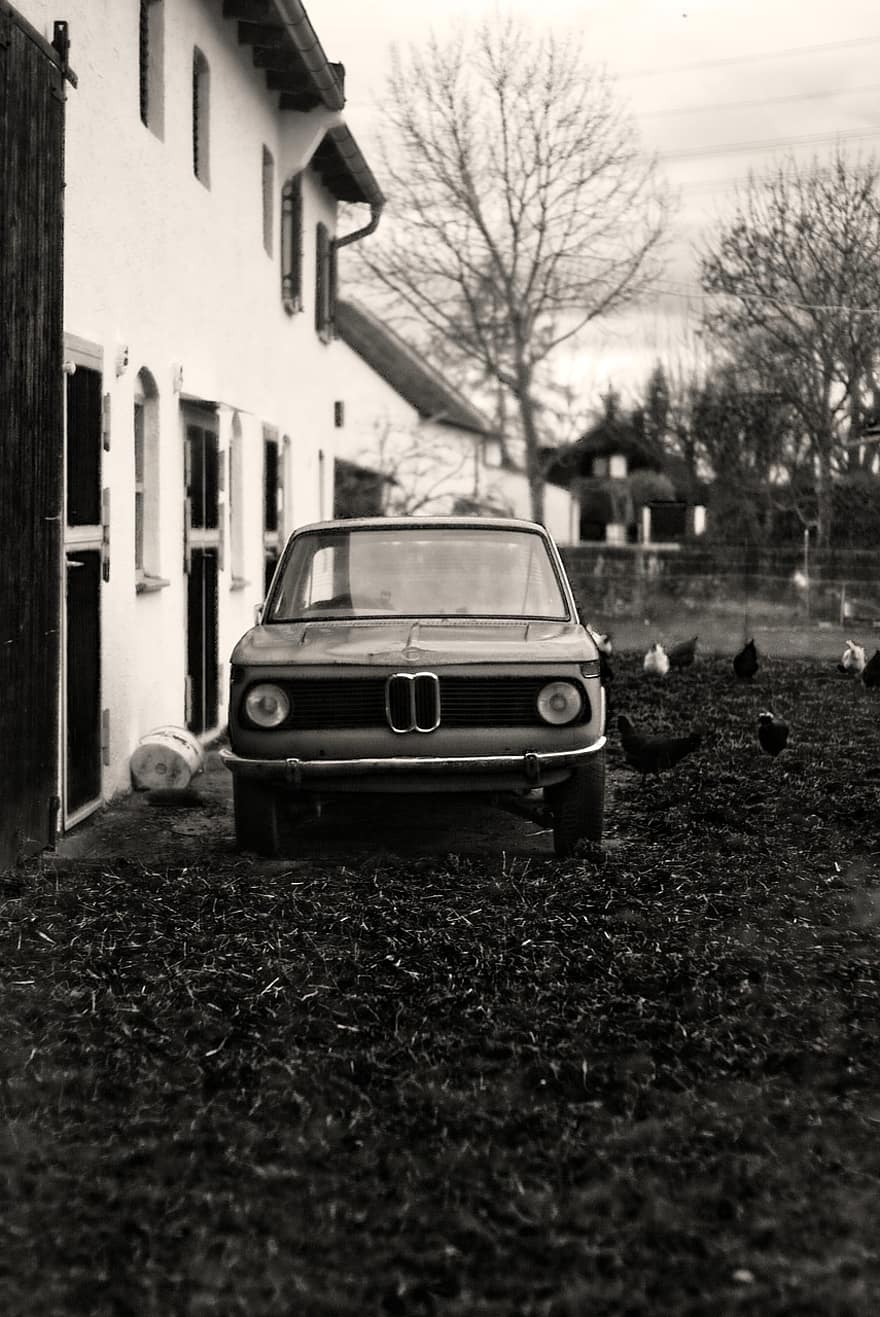 auto, retro, gård, nostalgi, automotive, svart og hvit, bmw