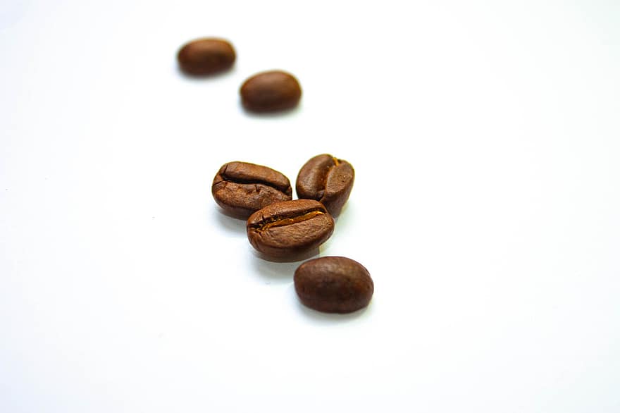káva, Kávová zrna, kofein, kávová semena, pražená kávová zrna