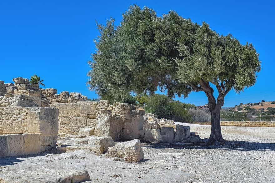 ruines, kourion, Chypre, ancien, historique, patrimoine, Olivier, point de repère, monument, méditerranéen, grec