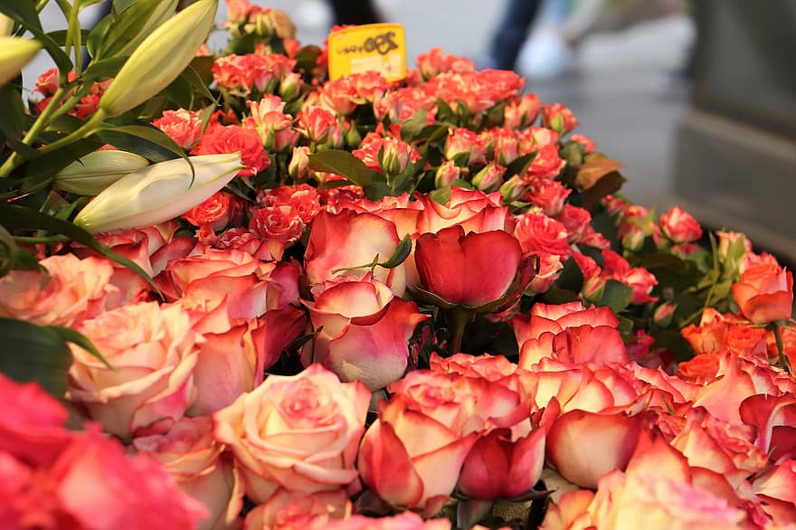 hoa hồng đỏ vàng, những bông hoa, nở hoa, hoa, hệ thực vật, người bán hoa, trang trí, bông hoa, sự tươi mát, đầu hoa, cây
