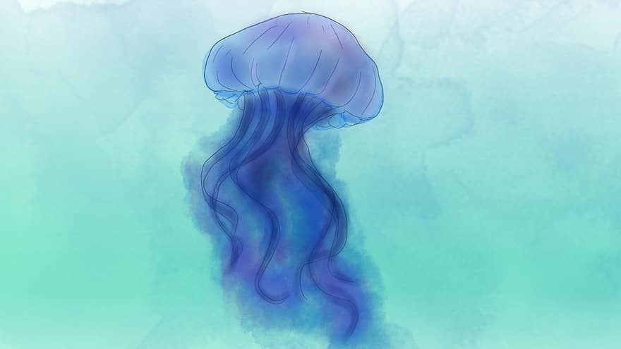 meduză, meduze meduze, pictură în ocean, animale marine, ocean, arta digitala, artă, fundal