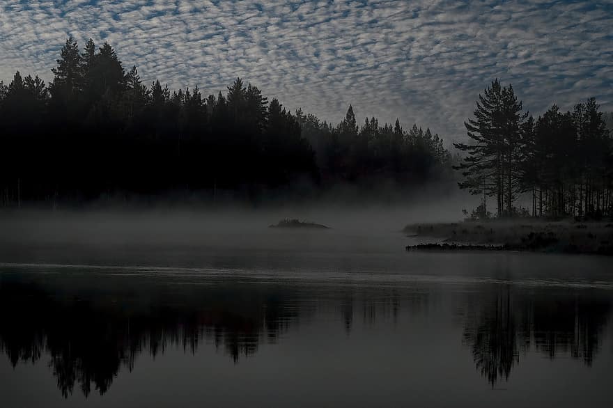 lago, bosque, niebla, arboles, naturaleza, agua, reflexión, paisaje, silueta, escénico, oscuro
