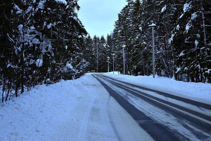 carretera, hivern, al matí, neu, camp, rural, bosc, arbre, temporada, paisatge, gelades