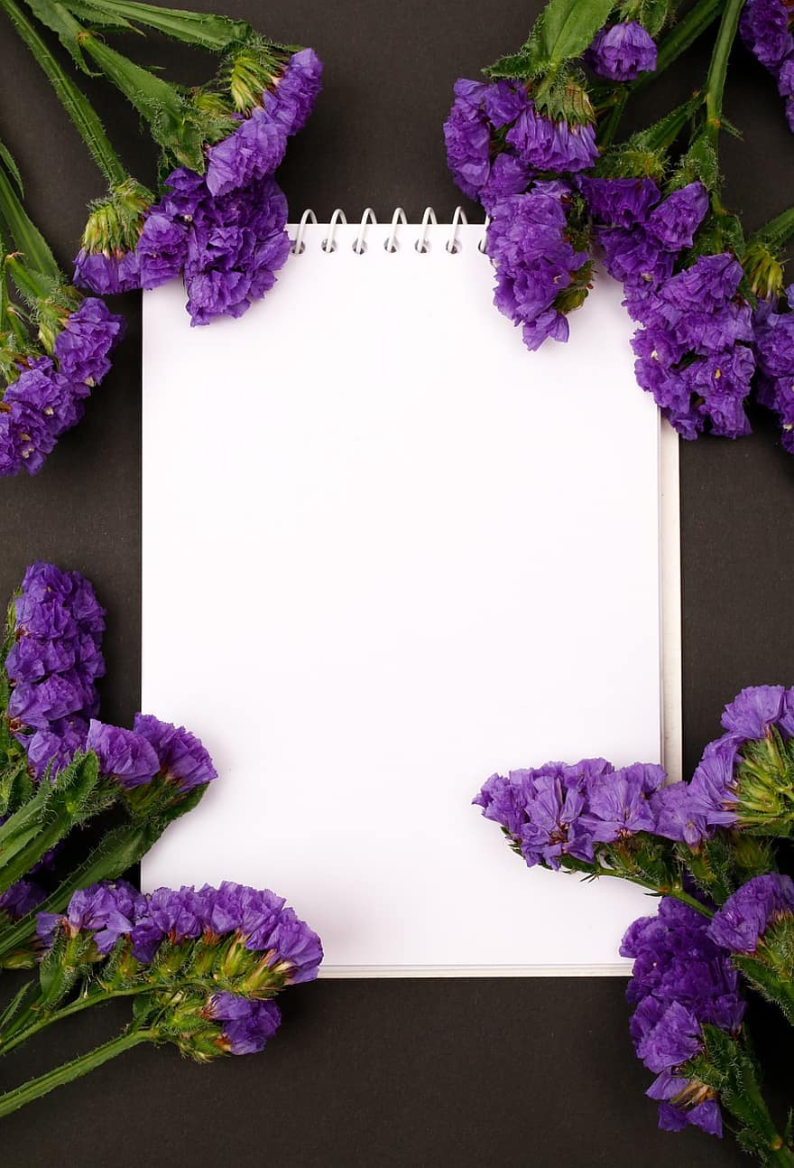 blommor, bakgrund, ram, anteckningsblock, anteckningsbok, papper, gräns, lila blommor, sjö lavendel, statice, blomma