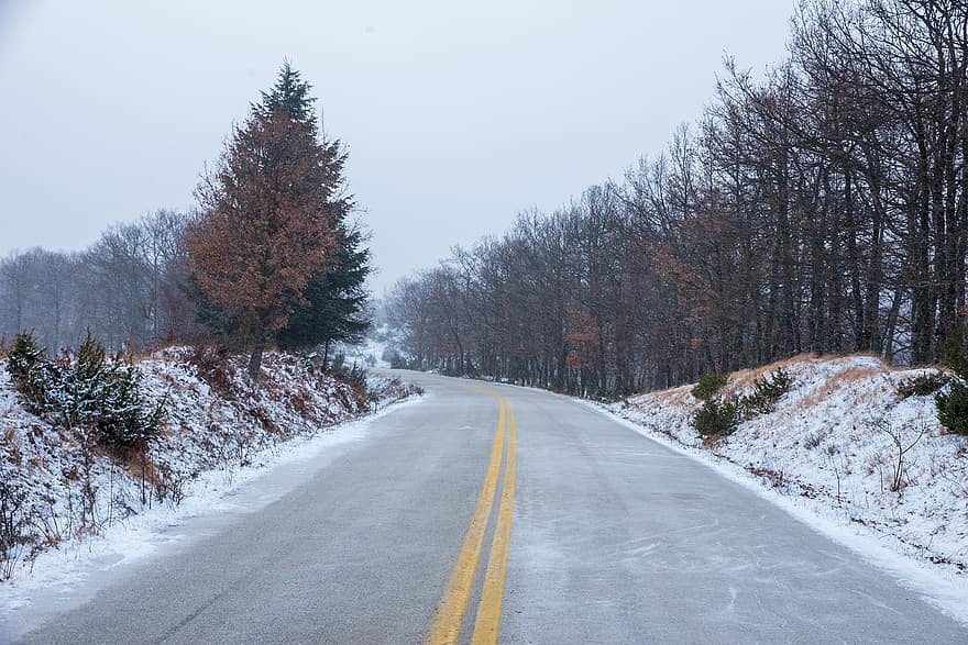 ceļš, mežs, ziemā, sniegs, migla, koki, asfalta, segums, maršrutu, meži, auksts