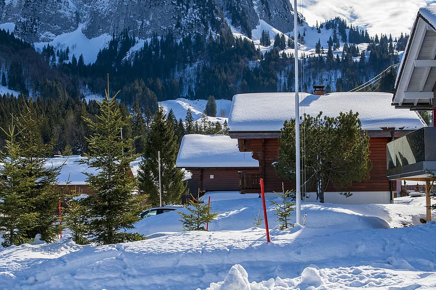 hus, landsby, vinter, snø, snøfonn, Alpene, by, Brunni, kanton av schwyz, Sveits, trær
