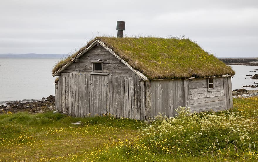 arctische zee, Turfdak, graszoden dak, Kalamaja, grasdak, zee