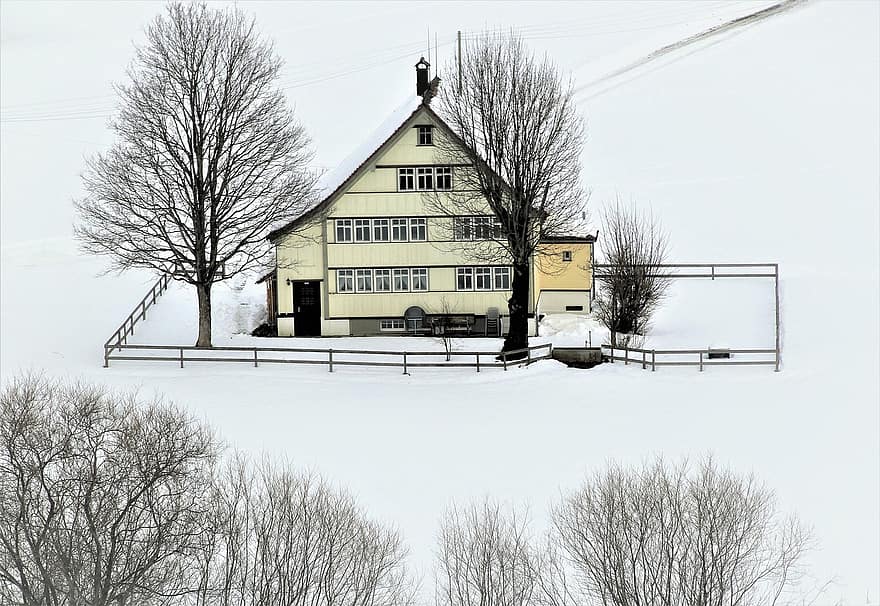 Cottage, villaggio, inverno, montagna, prospettiva, alberi, konary, la neve, cappello, architettura, albero