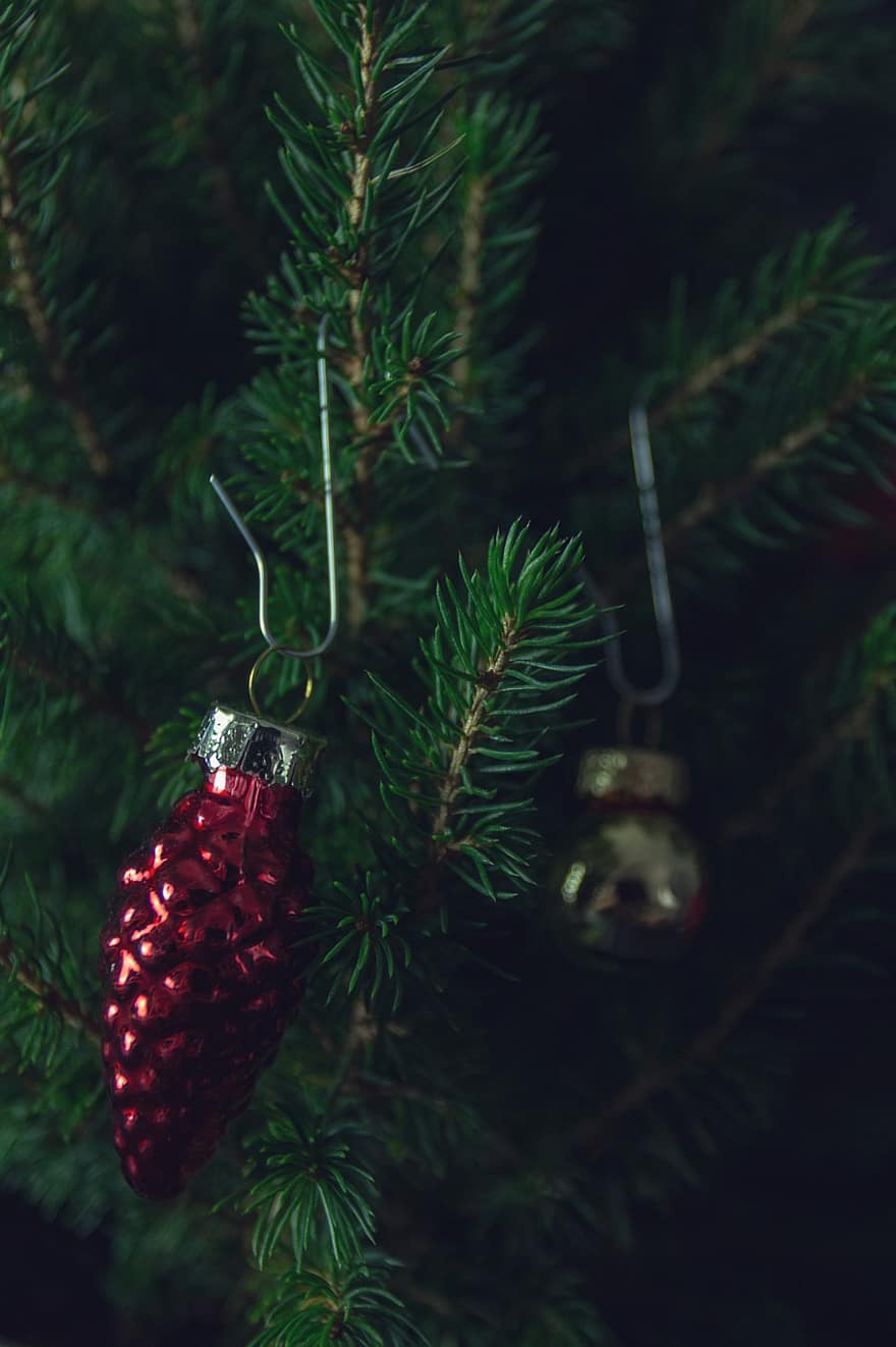 bola natal, perhiasan natal, ornamen, hari Natal, deco, kedatangan, dekorasi, musim dingin, waktu Natal, pohon cemara, dekorasi Natal