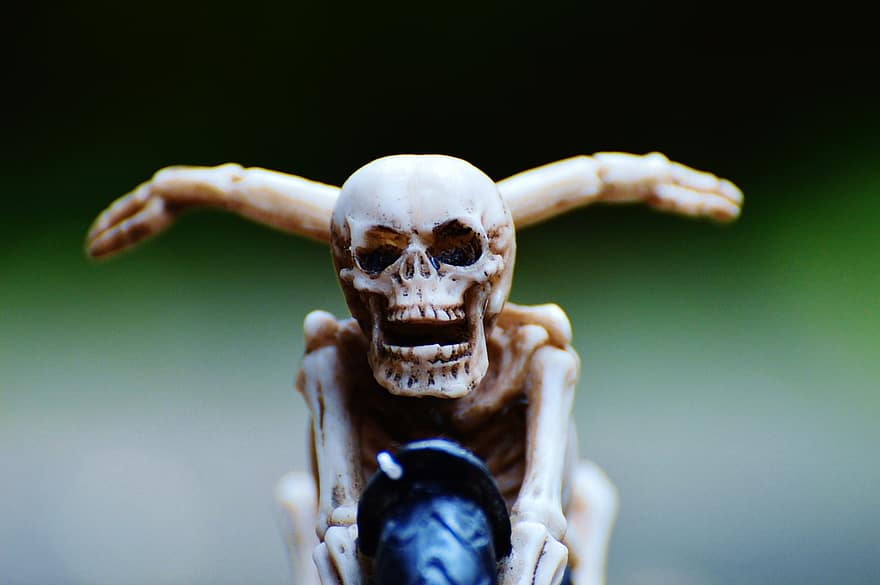 biker, skelet, griezelig, vreemd, decoratie, eng, bot, verschrikking, schedel en gekruiste knekels, schedel, schedel bot