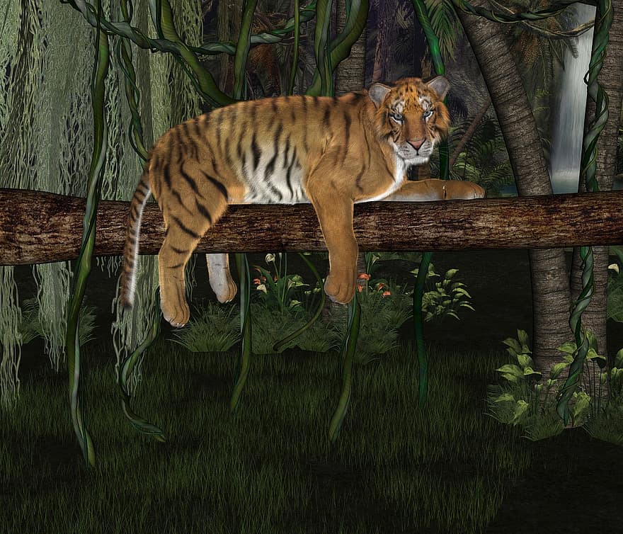 тигр, лес, природа, джунгли, животное, на открытом воздухе, смешной, проблемы, млекопитающее, охотник, фигура