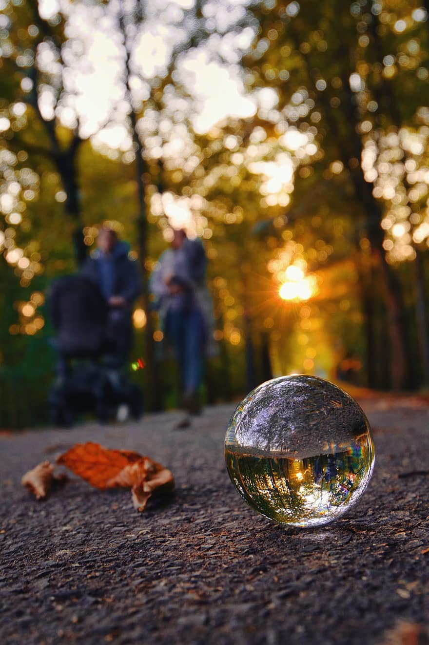 ガラス玉、反射、道路、パス、レンズボール、水晶球、屋外、秋、秋の葉、葉