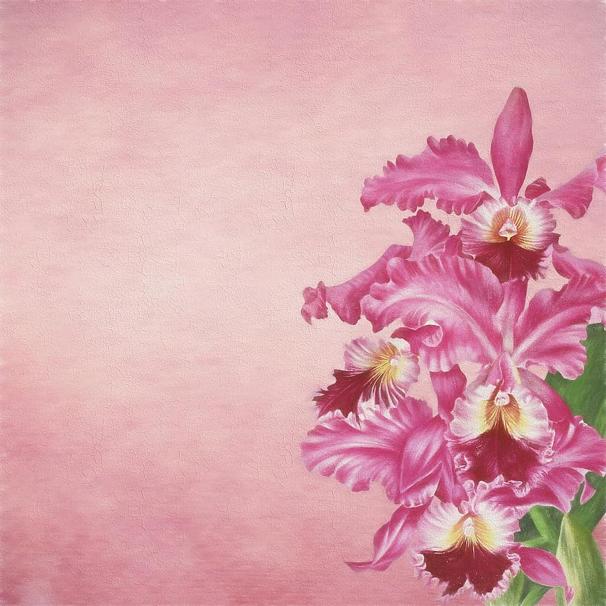 flor, orquídea, vendimia, decorativo, álbum de recortes, scrapbooking digital, retro, floraciones, fondo