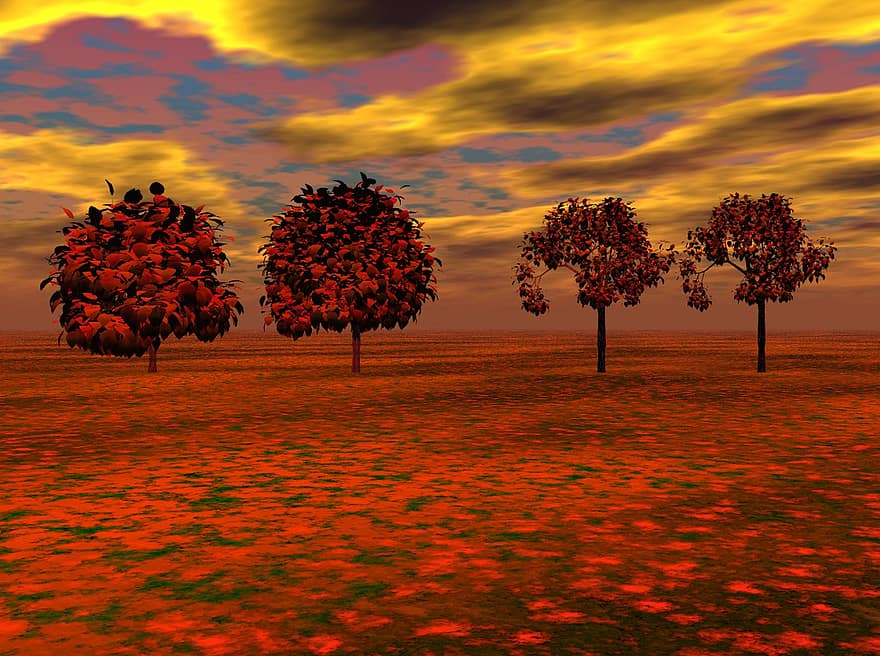 단풍, 나무, 붉은 단풍 나무, 꽃들, 가을, 아름다운, 하늘, 구름, 저녁, 저녁 하늘, 황혼