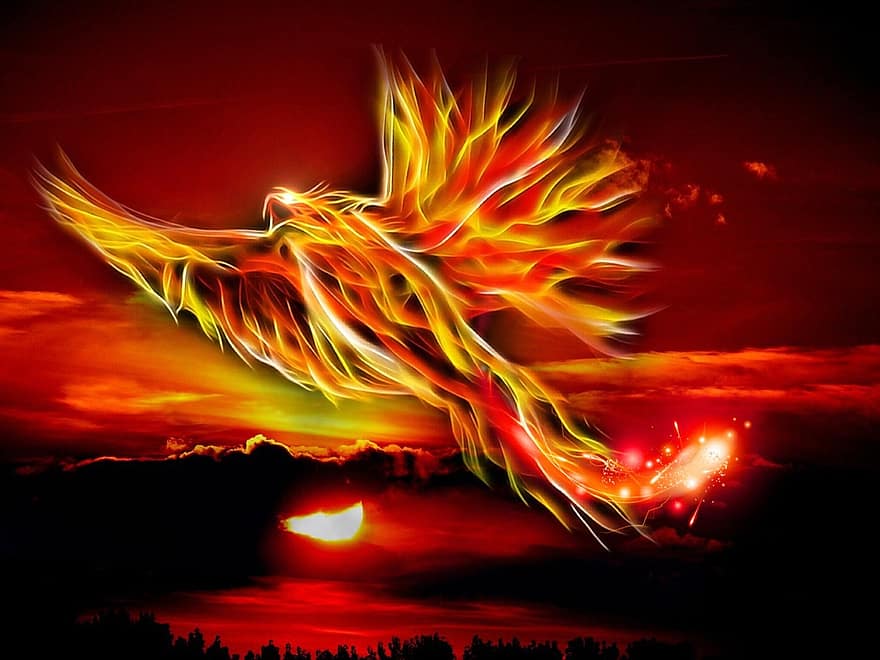 Phoenix, putns, uguns, saule, spilgti sarkans, zelts, mītisks putns, tarot dārzs, debesis, mākoņi, spārns