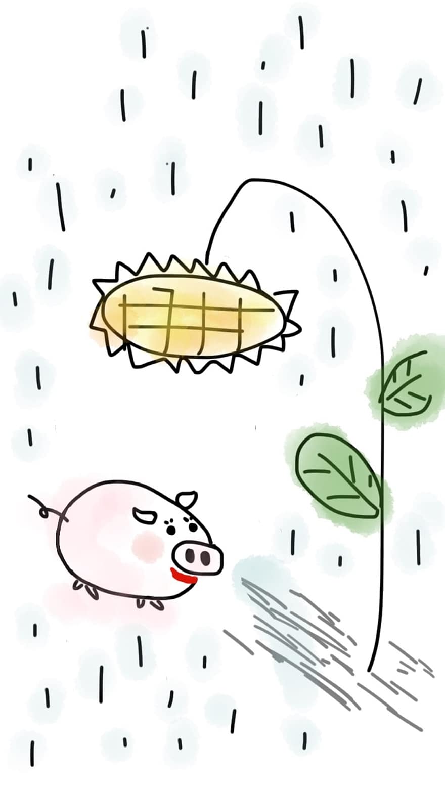 cerdo, cerdo rosa, flor, girasol, lluvia, lloviendo, flor amarilla, hoja, vida, paraguas, planta