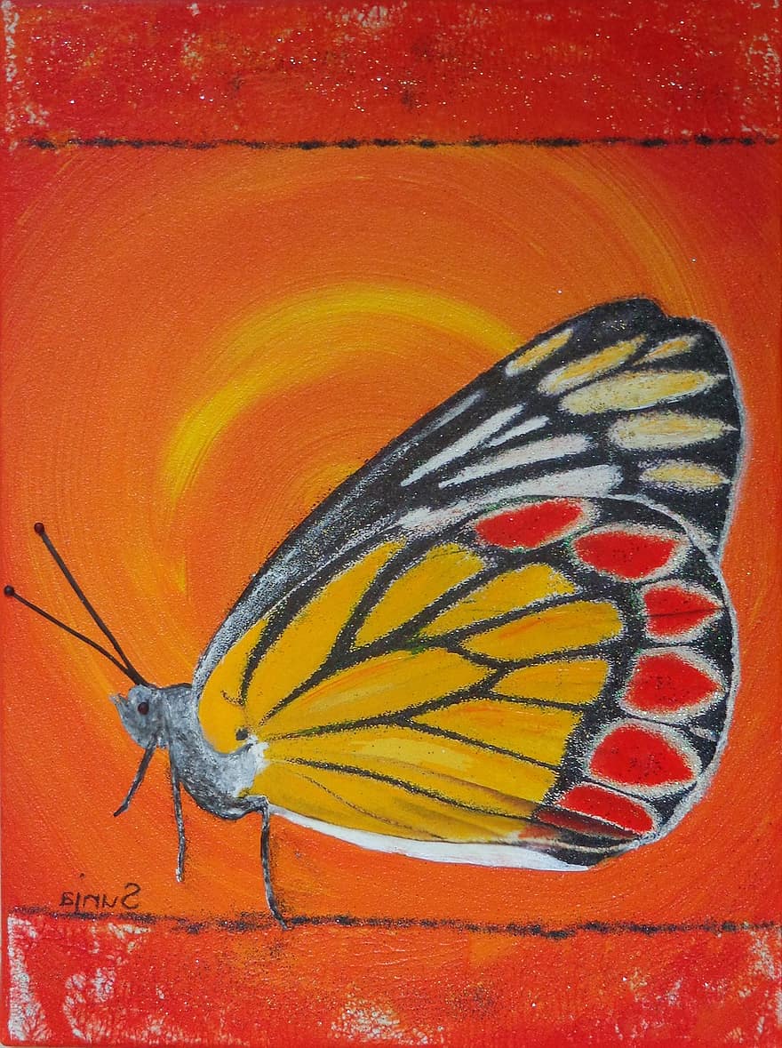 пеперуда, оранжев, gonepteryx rhamni, цветен, насекомо, природа, искрящ, жълт, слънце, цвят, разцвет