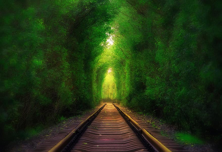 les, železnice, koleje, stromy, Příroda, železniční trať, bod zmizení, krajina, starý, strom, temný