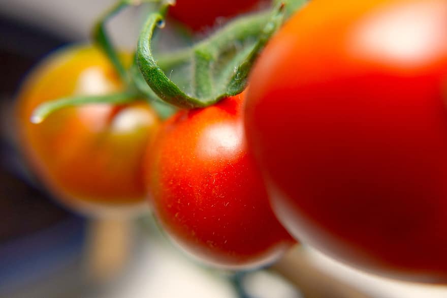 tomaatit, vihannekset, ruoka, tuore, terve, orgaaninen, kypsä, ravitsemus, vitamiinit, tuottaa, sato