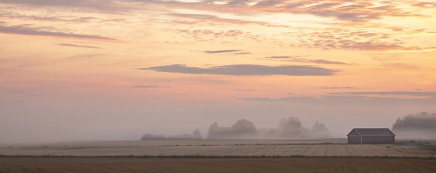Nebel, Feld, Landschaft, Landwirtschaft, Natur, Wolken, ländliche Szene, Sonnenuntergang, Bauernhof, Sonnenaufgang, Dämmerung