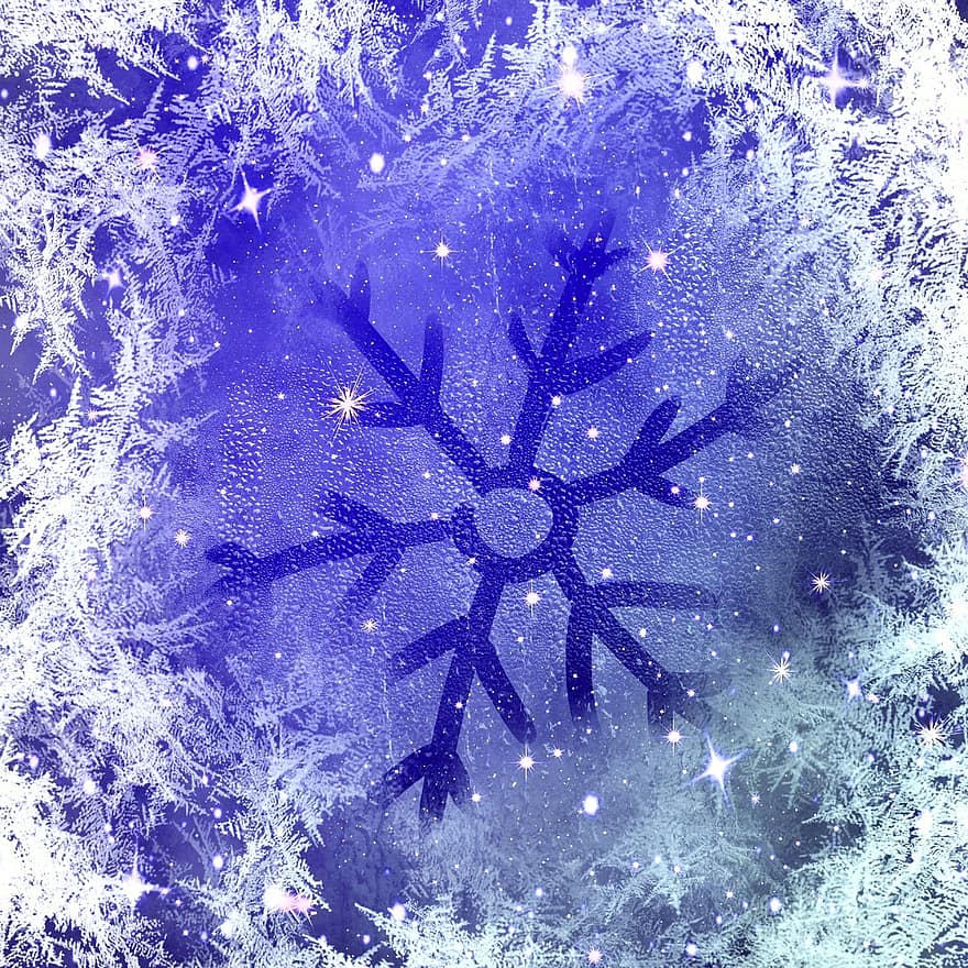 isblommor, frost, vinter-, eiskristalle, kall, is, frysta, kristaller, snö, vintrig, frostig