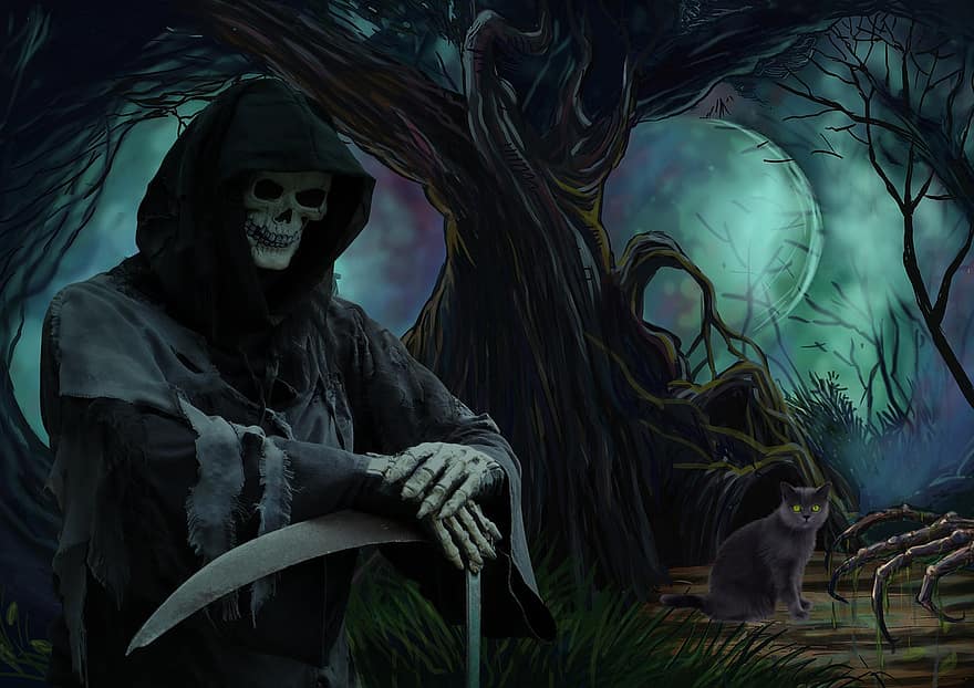 Grim Reaper, Forest, Fantasy, Spooky, Cat, night, halloween, horror, dark, mystery, fear