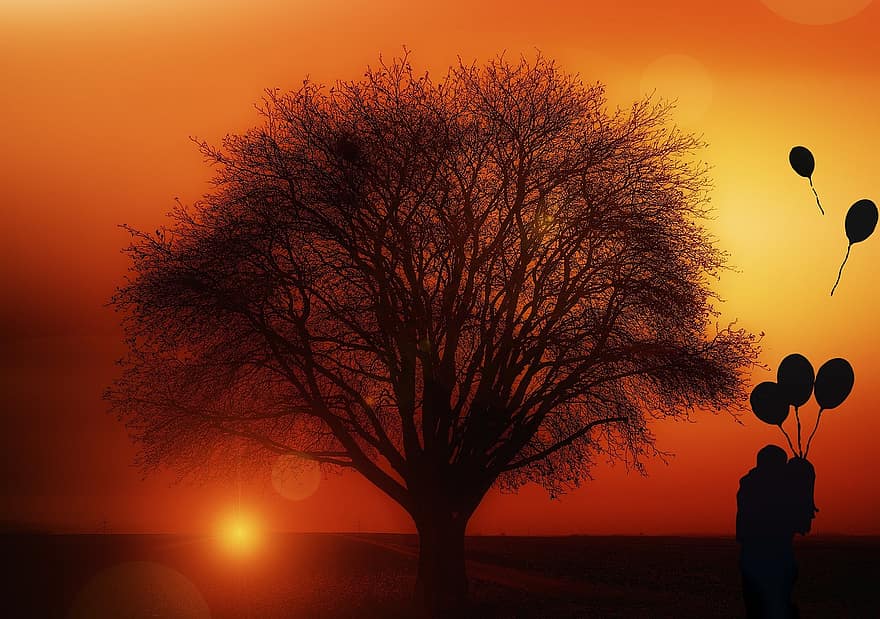 albero, solitario, tramonto, umore del tempo, nuvole, atmosfera, giallo, cielo serale, cielo, Kahl, paio