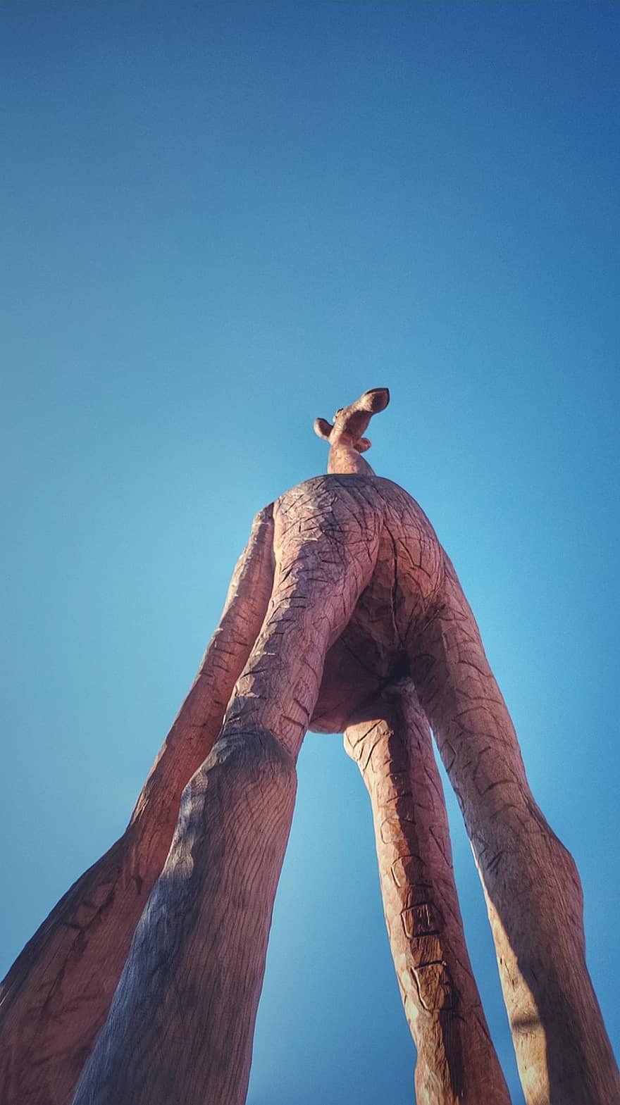giraf, træ, statue, himmel, kunst