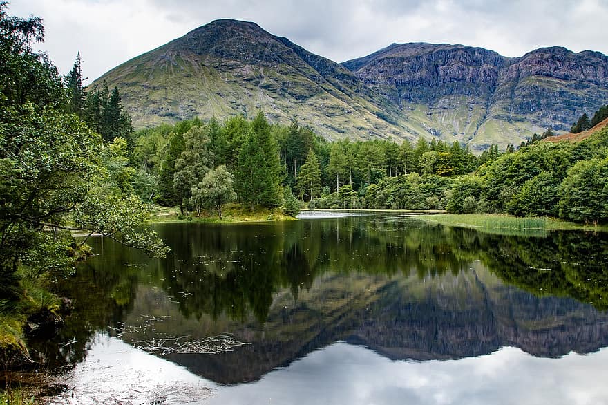 sø, træer, Skov, bjerge, lochan, højland, natur, landskab, højlandet og øerne, Glencoe, Balachulish