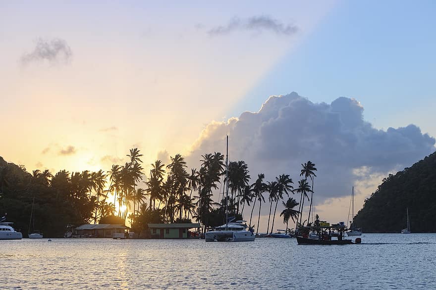 Rodney Bay, Santa Lucia, mare, crepuscolo, paesaggio, palme, Paradiso, caraibico