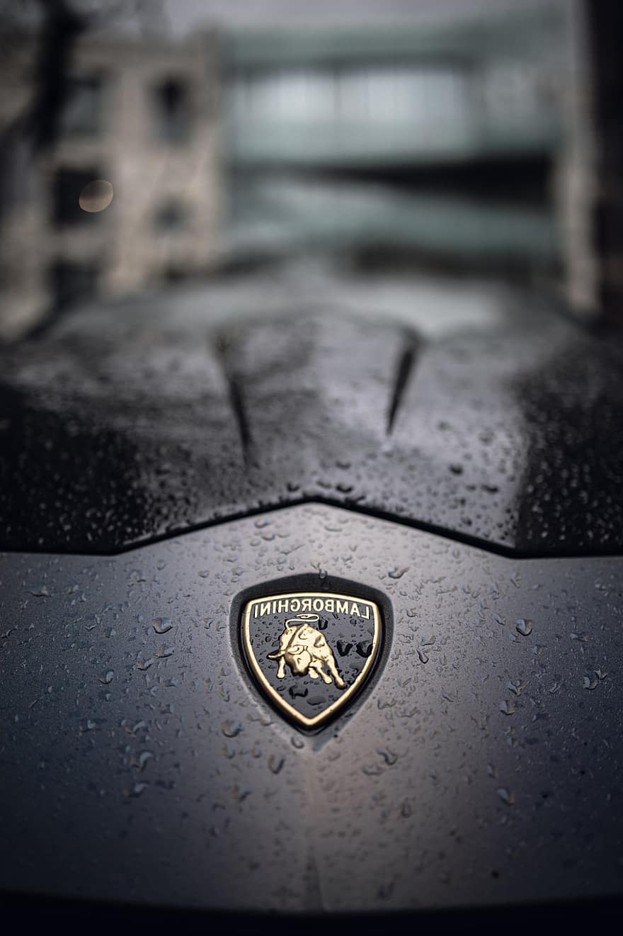 Cars, Lamborghini, Bmw, Bussiness Cards, rain, wet, drop, raindrop, car, close-up, water