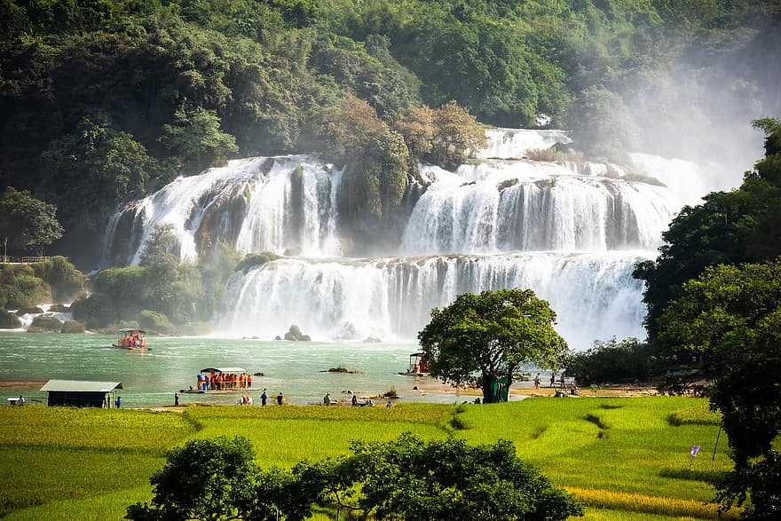 vattenfall, skog, cao bang, vietnam, natur, vatten, landskap, friskhet, grön färg, sommar, träd