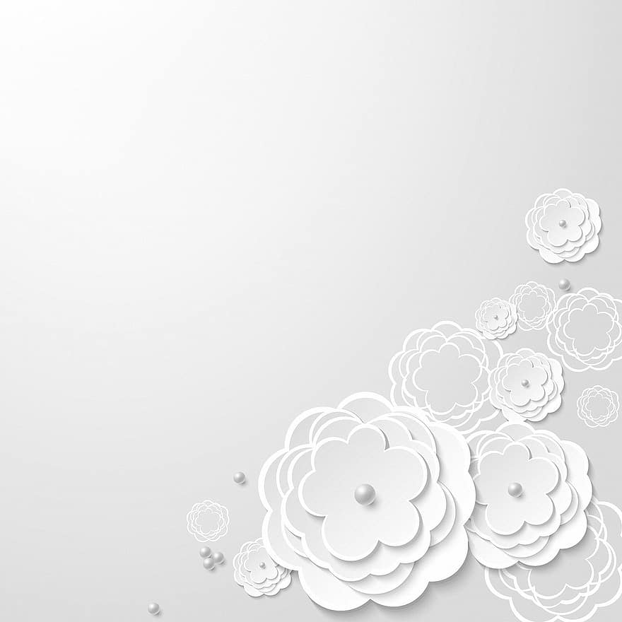 Weißer Blumenhintergrund, digitales Papier, Papierschneide-Hintergrund, weißer Hintergrund, Spitze, Design, Kunstwerk, Weiß, Eleganz, Hochzeit, Braut