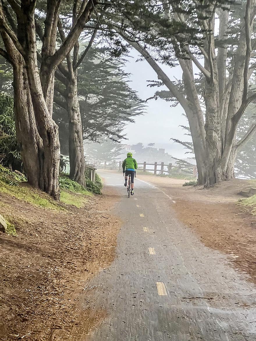 Monterey, велосипедная дорожка, природа, поездка, путешествовать, велосипед