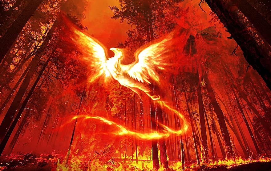 baggrund, skov, ild, phoenix, fantasi, digital kunst