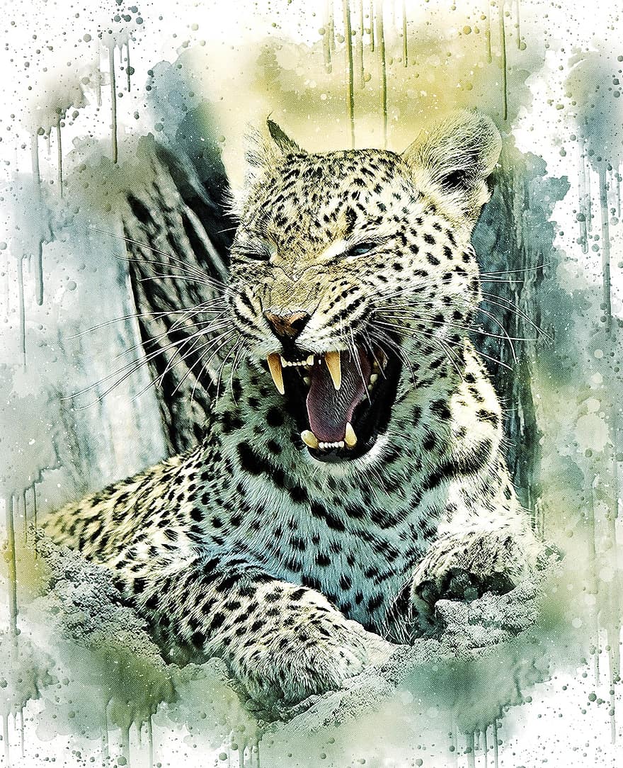 lleopard, gat, vida salvatge, animal, naturalesa, gat salvatge, depredador, retrat, desert, mamífer, felí