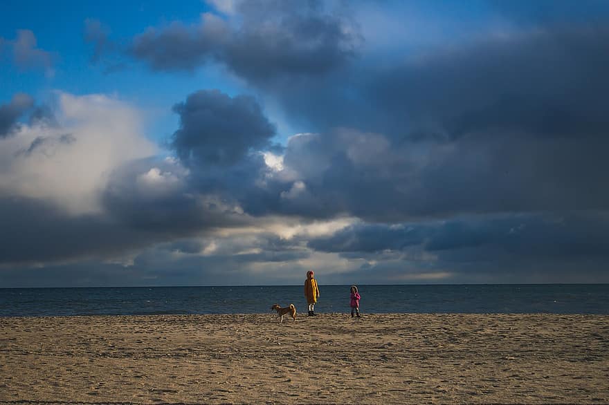 playa, familia, perro, arena, apuntalar, costa, horizonte, nubes, cielo, mar