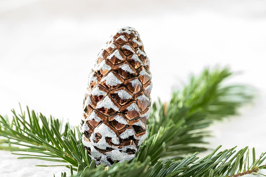 Pine Cones, Snow, Branch, Fir Needles, Fir Tree, Tap, Tree, Winter, Conifer, Christmas, Decoration