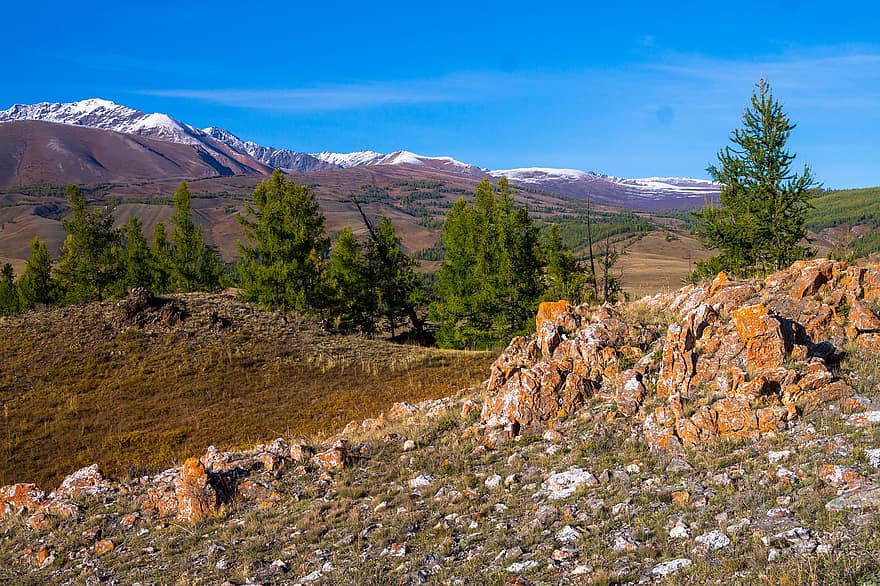 Altai, hegyek, természet, hegy, tájkép, fű, hegycsúcs, vidéki táj, erdő, hegység, rét