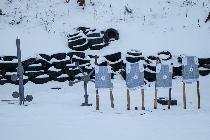 jarak tembak, target, musim dingin, salju, ban, tempat latihan menembak, musim, embun beku, kayu, Es, hutan